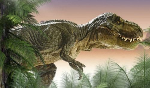 ТОП-10: Замечательные подробности из ежедневной жизни динозавров 63