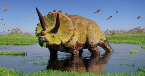 ТОП-10: Замечательные подробности из ежедневной жизни динозавров 57