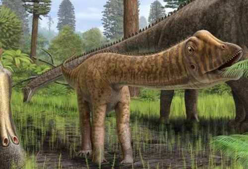 ТОП-10: Замечательные подробности из ежедневной жизни динозавров 65