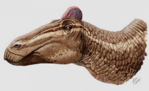 ТОП-10: Замечательные подробности из ежедневной жизни динозавров 53