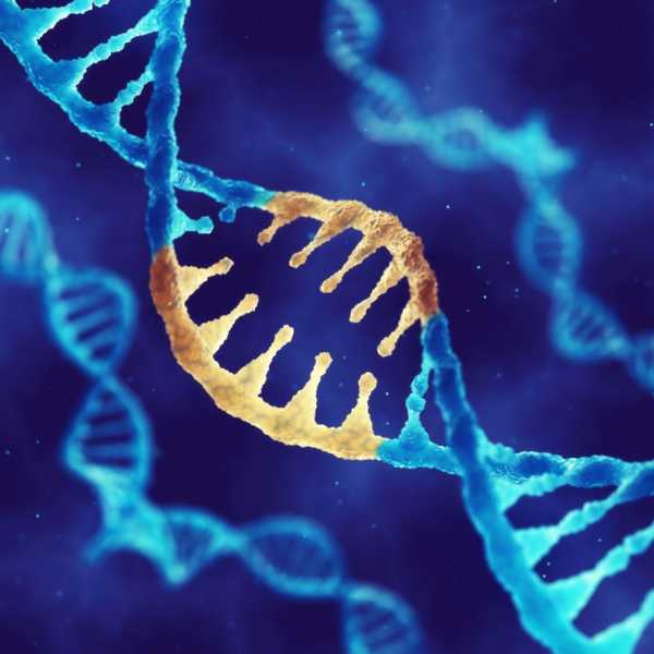 Ученые призывают к мораторию на редактирование ДНК зародышей 15