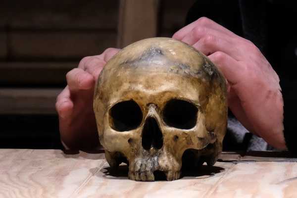 Людские ребра и череп отыскали на востоке Москвы 1