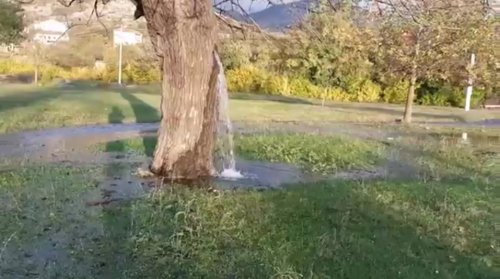 Необыкновенное дерево-фонтан в Черногории (фото + видео) 35