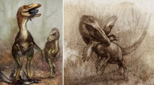 ТОП-10: Замечательные подробности из ежедневной жизни динозавров 49