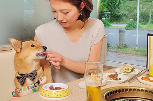 В Японии есть рестораны, где можно самому пожарить себе блюдо на гриле. А теперь туда можно прийти поесть вместе со своей собакой! (4 фото + 3 видео) 5
