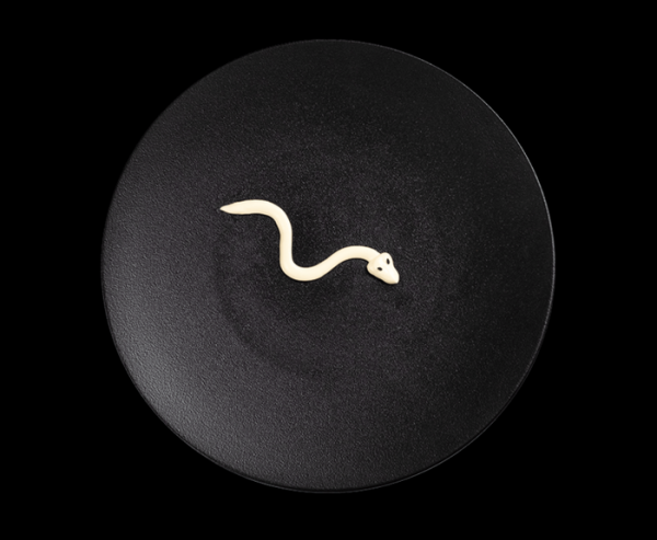 Салат pericoloso serpente или майонезная змейка. Как сделать из карательной кулинарии высокую