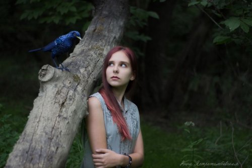 Очаровательные войлочные зверушки Анны Ястрежембовской (29 фото)