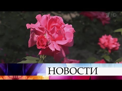 В Никитском ботаническом саду проходит фестиваль цветов.