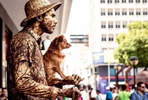 Прелестная собачка очаровательно помогает своему хозяину, уличному артисту, изображать живую статую (3 фото + 2 видео)