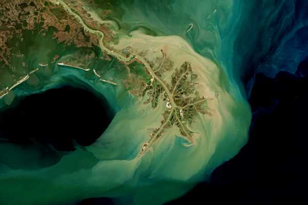 В Мексиканском заливе летом образуется огромная бескислородная зона размером с Багамы