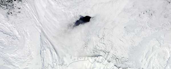 Ученые объяснили, почему в Антарктиде появляется глубинная полынья даже в –50 °С