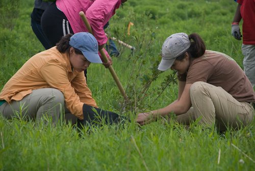 Хочешь получить образование — посади дерево: на Филиппинах приняли закон, направленный на спасение планеты (5 фото)