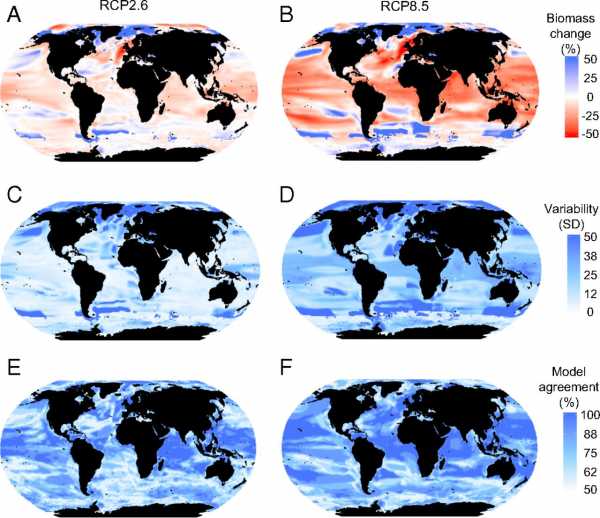 Глобальное потепление уменьшит морскую биомассу на 17% к 2100 году