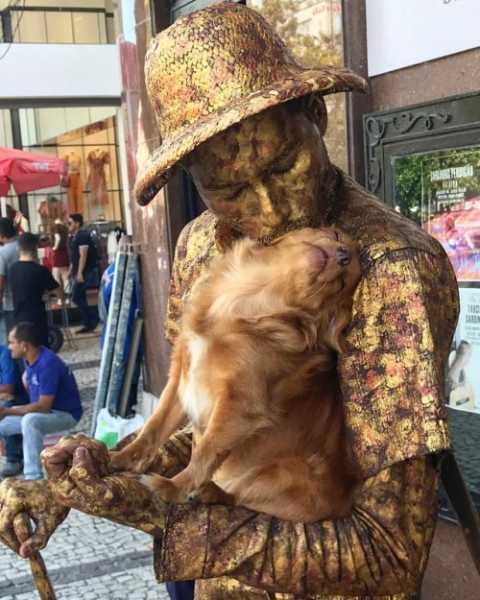Прелестная собачка очаровательно помогает своему хозяину, уличному артисту, изображать живую статую (3 фото + 2 видео)