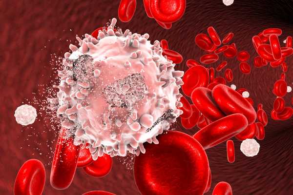 Новые функции белка помогут разработать лекарства от рака крови с меньшими побочными эффектами