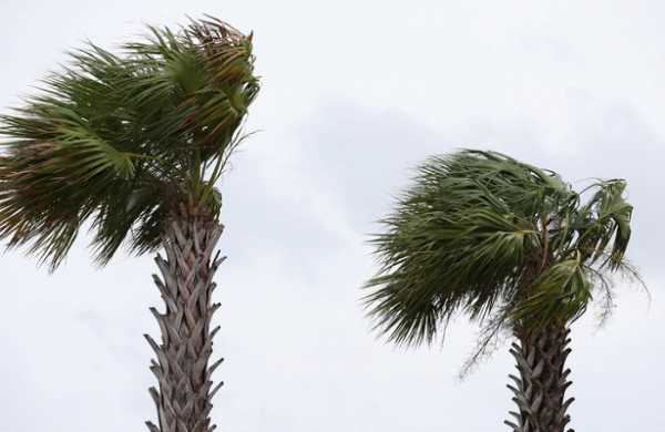 Ураган «Барри» обрушился на штат Луизиана 7