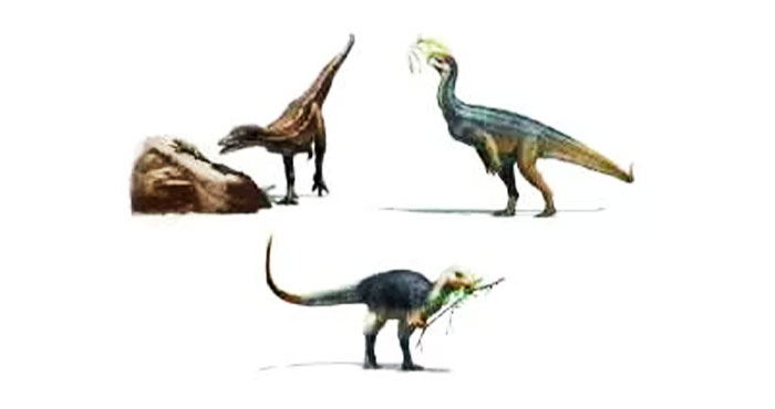 Предки длинношеих травоядных динозавров ели мясо, а не листья 1