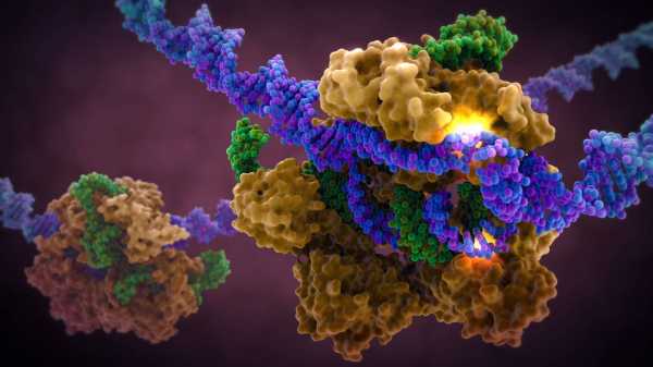 Ученые призывают к мораторию на редактирование ДНК зародышей 13