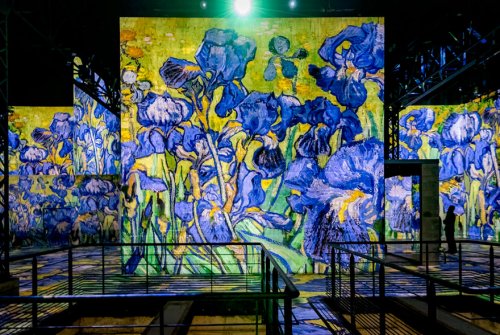 Неповторимая аудиовизуальная выставка, позволяющая ощутить себя снутри картин Ван Гога (23 фото) 137